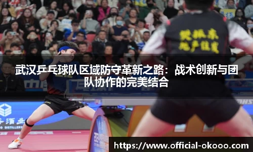 武汉乒乓球队区域防守革新之路：战术创新与团队协作的完美结合